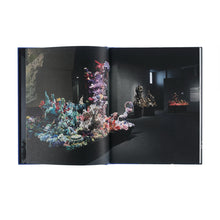 Lade das Bild in den Galerie-Viewer, Katalog CHRISTINE & MARGARET WERTHEIM. Austrian Satellite Reef