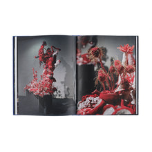 Lade das Bild in den Galerie-Viewer, Katalog CHRISTINE & MARGARET WERTHEIM. Austrian Satellite Reef