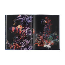 Lade das Bild in den Galerie-Viewer, Katalog CHRISTINE & MARGARET WERTHEIM. Austrian Satellite Reef