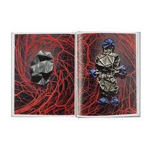 Lade das Bild in den Galerie-Viewer, Katalog PETER KOGLER. Alphabet City