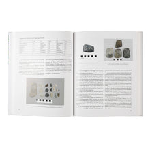Lade das Bild in den Galerie-Viewer, Katalog Studien, Folge 56: DIE PFAHLBAUSTATIONEN SEEWALCHEN I UND WEYREGG II IM ATTERSEE / OÖ. Projekt Zeitensprung 2015–2017