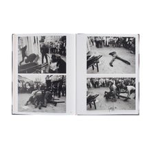 Lade das Bild in den Galerie-Viewer, Katalogansicht