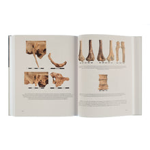 Lade das Bild in den Galerie-Viewer, Katalogansicht