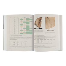 Lade das Bild in den Galerie-Viewer, Katalogansicht