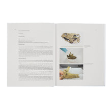 Lade das Bild in den Galerie-Viewer, Katalog Studien, Folge 54: DER MÜNZSCHATZFUND VON LANDSHUT