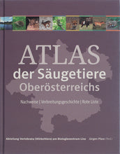 Lade das Bild in den Galerie-Viewer, Cover