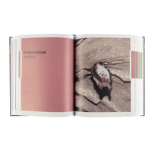 Lade das Bild in den Galerie-Viewer, Katalogansicht