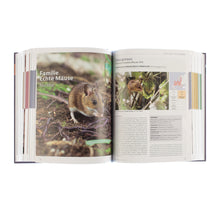 Lade das Bild in den Galerie-Viewer, Katalogansicht