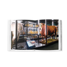 Lade das Bild in den Galerie-Viewer, Katalogansicht