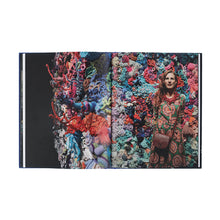Lade das Bild in den Galerie-Viewer, Katalog CHRISTINE &amp; MARGARET WERTHEIM. Austrian Satellite Reef

