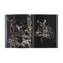 Lade das Bild in den Galerie-Viewer, Katalog CHRISTINE &amp; MARGARET WERTHEIM. Austrian Satellite Reef
