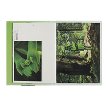 Lade das Bild in den Galerie-Viewer, Katalog KIM SIMONSSON. Moss People
