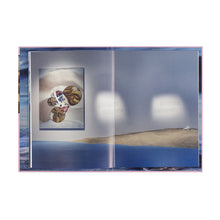 Lade das Bild in den Galerie-Viewer, Katalog ARVIDA BYSTRÖM. Who´s your Daddy?
