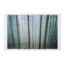 Lade das Bild in den Galerie-Viewer, Katalog SOPHIE MERCEDES KÖCHERT. Salzkammergut SELECTED II
