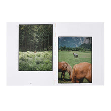 Lade das Bild in den Galerie-Viewer, Katalog SOPHIE MERCEDES KÖCHERT. Salzkammergut SELECTED II
