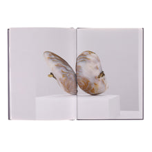 Lade das Bild in den Galerie-Viewer, Katalog HEIMISCHE PERLENGEHEIMNISSE. Die vielen Aspekte der Flussperlmuscheln
