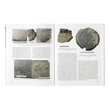 Lade das Bild in den Galerie-Viewer, Katalog Studien, Folge 56: DIE PFAHLBAUSTATIONEN SEEWALCHEN I UND WEYREGG II IM ATTERSEE / OÖ. Projekt Zeitensprung 2015–2017
