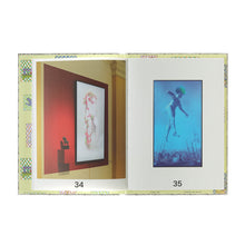 Lade das Bild in den Galerie-Viewer, Katalog CLAUDIA HART. Patterns and Politics
