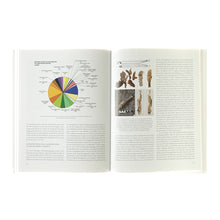 Lade das Bild in den Galerie-Viewer, Katalog Studien, Folge 57: SYMPOSIUM HALLSTATTKULTUR
