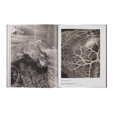 Lade das Bild in den Galerie-Viewer, Katalog Madame d’Ora. Eleganz und Exzentrik
